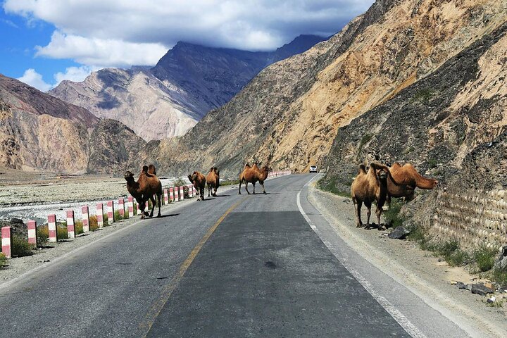 Day Trip to Baisha Lake and Karakul Lake with Private Car