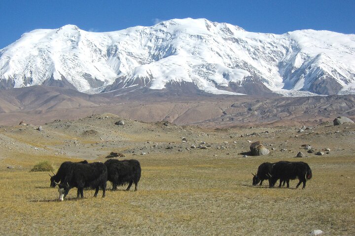 2 Day Tour to Tashkorgan with Baisha Lake and Karakul Lake
