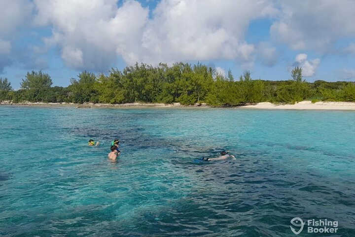Private Nassau Rose Island Boat Tour Swimming Pigs, Turtles