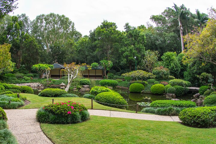 Brisbane Sightseeing Tour by Bus: Scenic Locations & Morning Tea