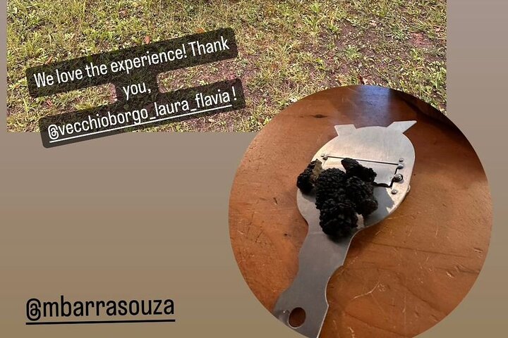 Truffle Hunting & Lunch halfway from Parma to Cinque Terre