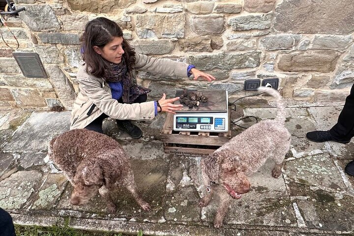 Truffle Hunting & Lunch halfway from Parma to Cinque Terre