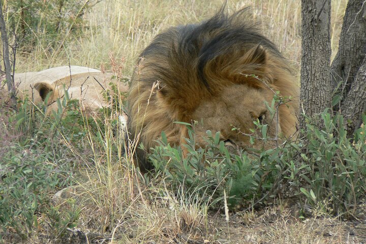 Addo Elephant National Park Tours from Port Elizabeth