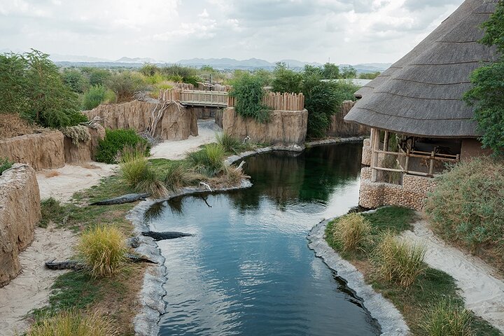 Sharjah Safari: A Wildlife Adventure Like No Other