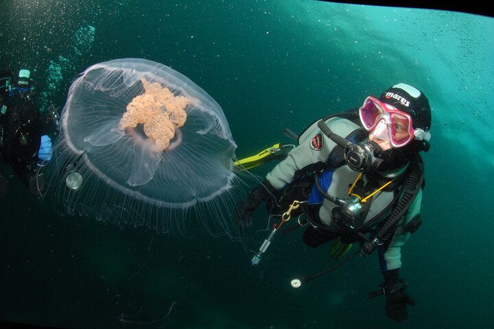 First Time Diver Scuba Experience