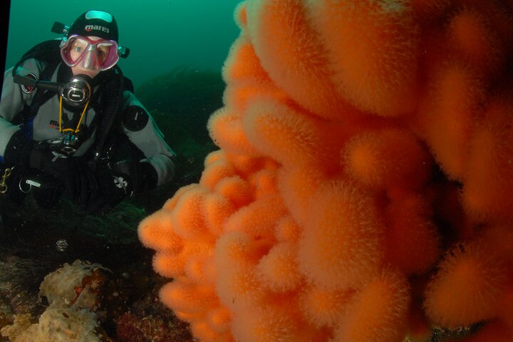First Time Diver Scuba Experience