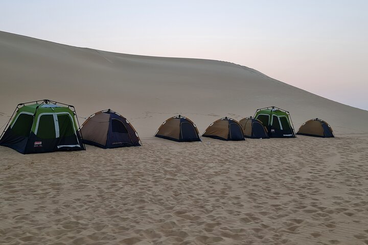 Private Tour: Two Days, One Night in the Black and White Desert