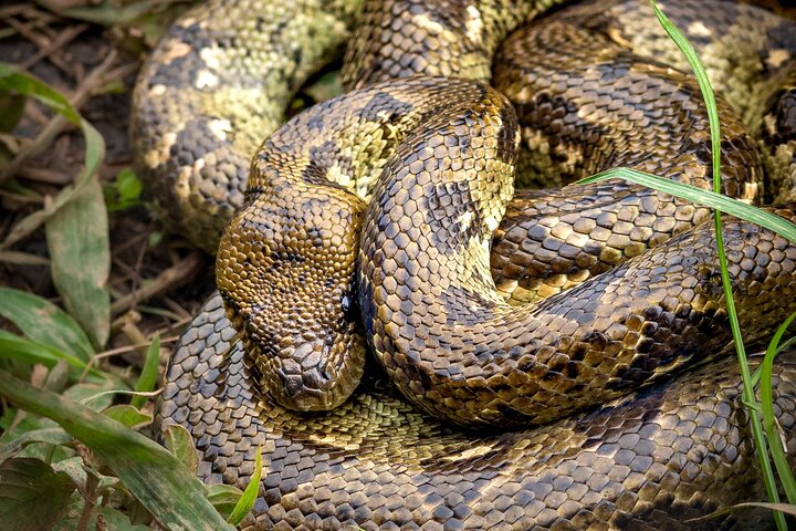 Day Trip to Andasibe National Park
