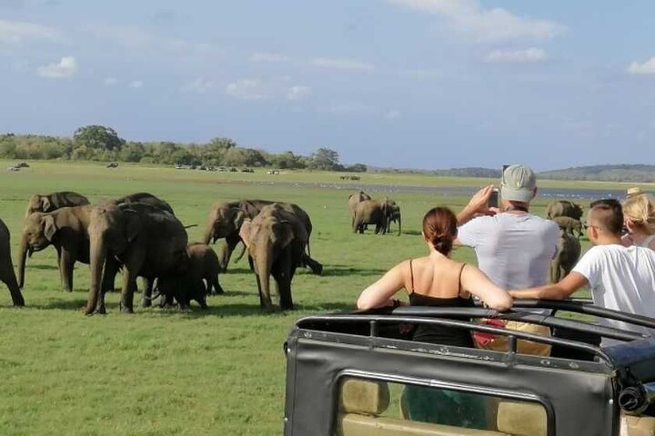 Minneriya Jeep Safari Tour from Pasikudah