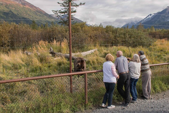 Glaciers and Wildlife: Super Scenic Day Tour from Anchorage