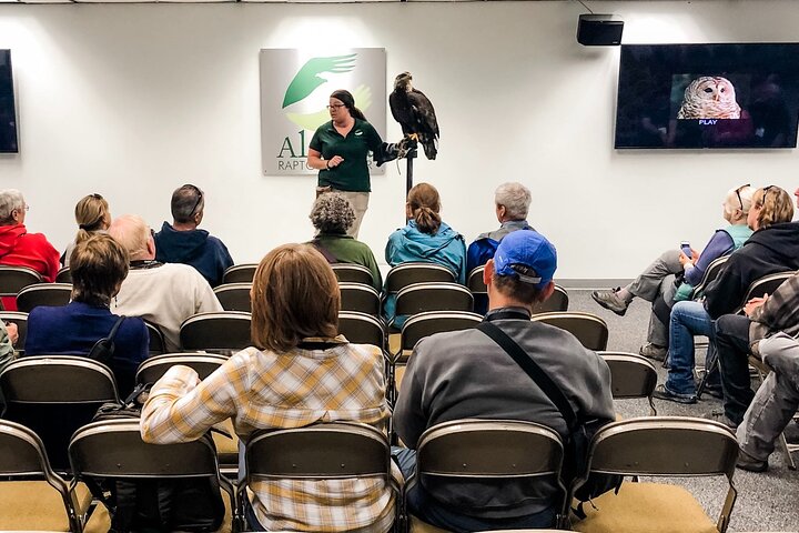 Best of Sitka Land Tour / Bears, Raptors, Totems