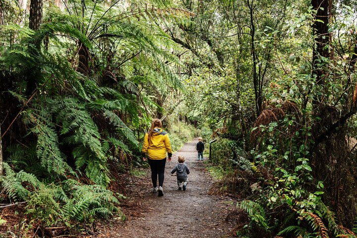 Puffing Billy & Rainforest Tour from Melbourne