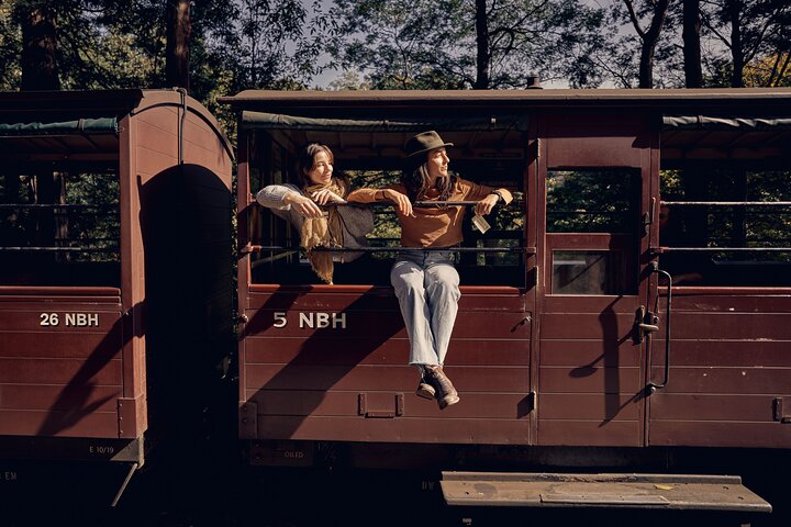 Puffing Billy & Rainforest Tour from Melbourne
