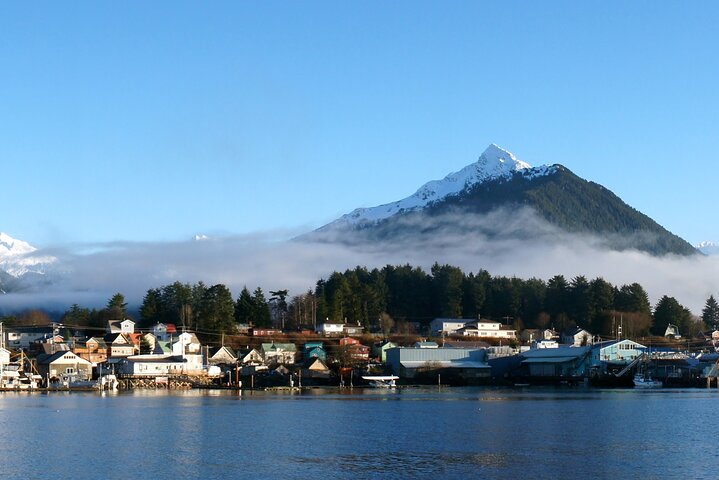 Best of Sitka Land Tour / Bears, Raptors, Totems