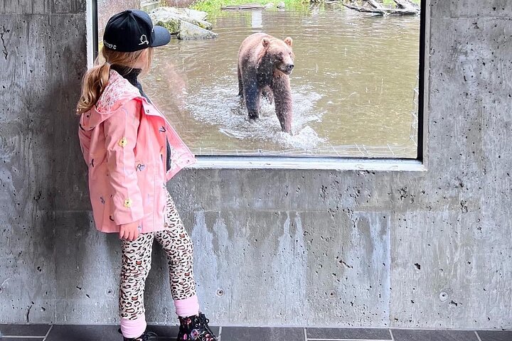 Best of Sitka Land Tour / Bears, Raptors, Totems