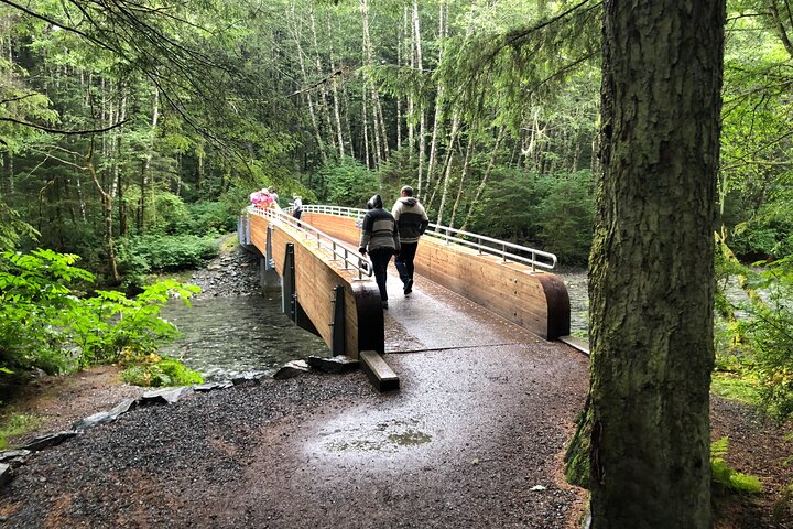 Best of Sitka Land Tour / Bears, Raptors, Totems