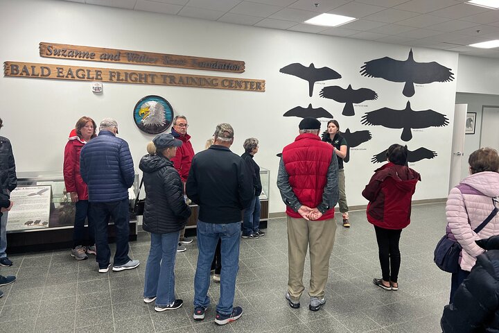 Best of Sitka Land Tour / Bears, Raptors, Totems