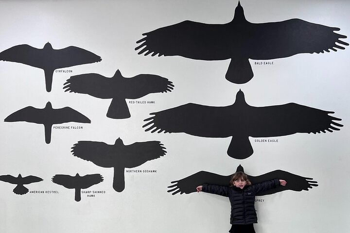 Best of Sitka Land Tour / Bears, Raptors, Totems