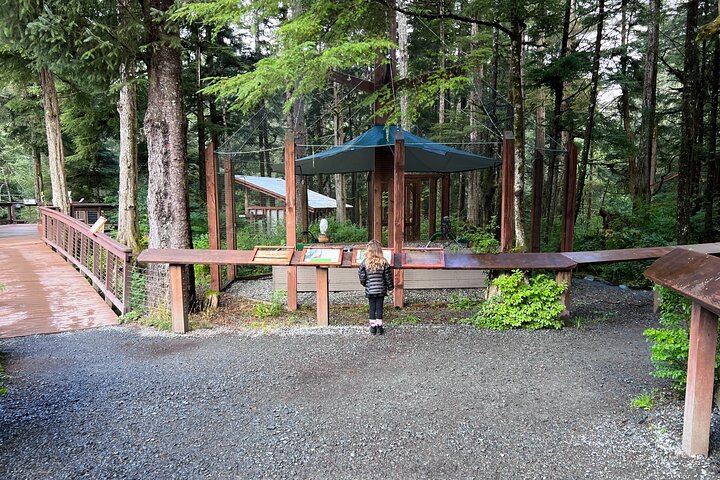 Best of Sitka Land Tour / Bears, Raptors, Totems