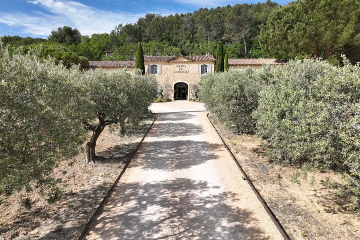 Private Provence Olive Oil & Wine Tasting + Vinaigrette Workshop