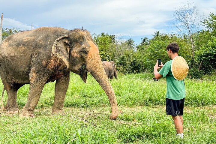 Half Day Elephant Home Sanctuary in Samui