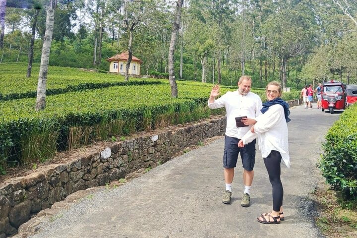 Day trip to ELLA & LIPTON's SEAT with Train Ride [ALL INCLUSIVE]