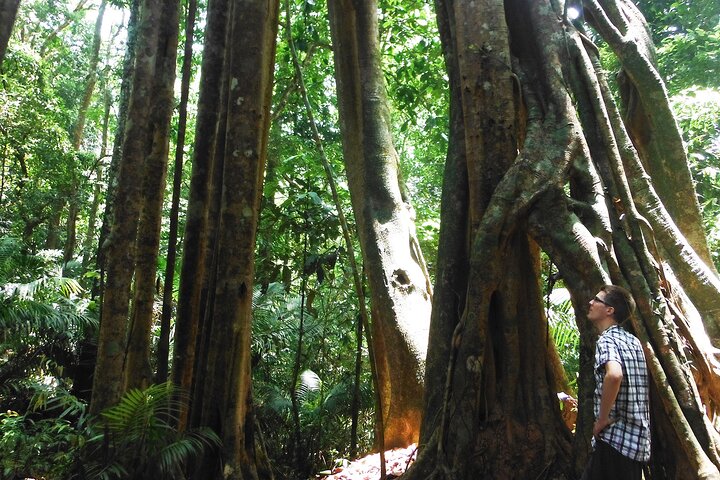 Jungle Experience: 1 Day Trek in Nam Ha NPA