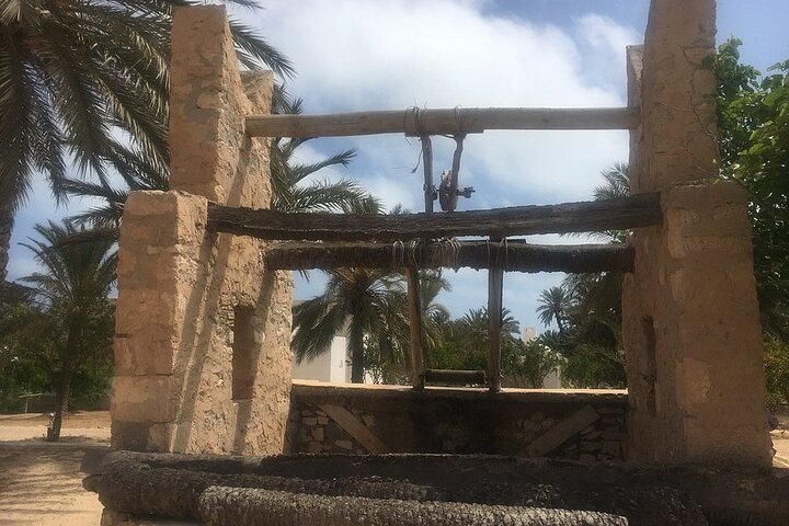 Djerba: Visit to Parc Des Crocodiles with pick-up