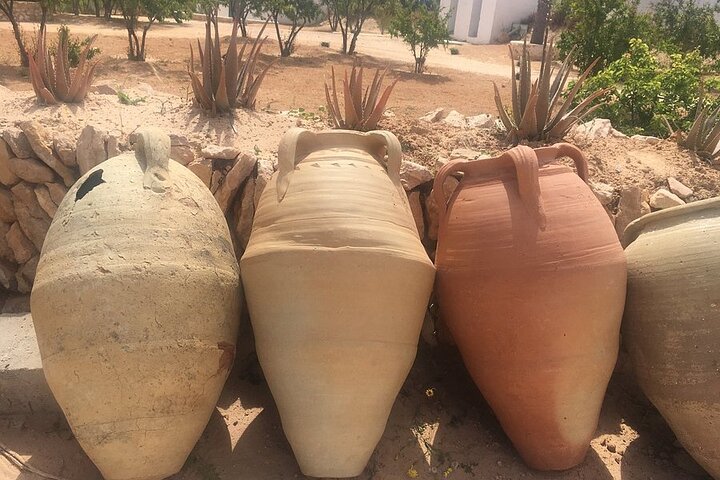 Djerba: Visit to Parc Des Crocodiles with pick-up