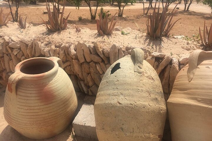 Djerba: Visit to Parc Des Crocodiles with pick-up