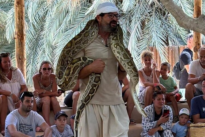Djerba: Visit to Parc Des Crocodiles with pick-up