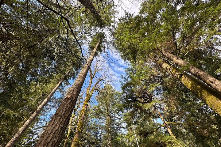Self-Guided Audio Driving Tour of North Cascades