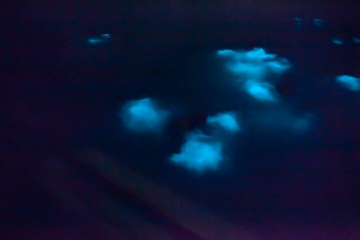 Unforgettable One Day Bioluminescent Kayak Adventure in Vieques