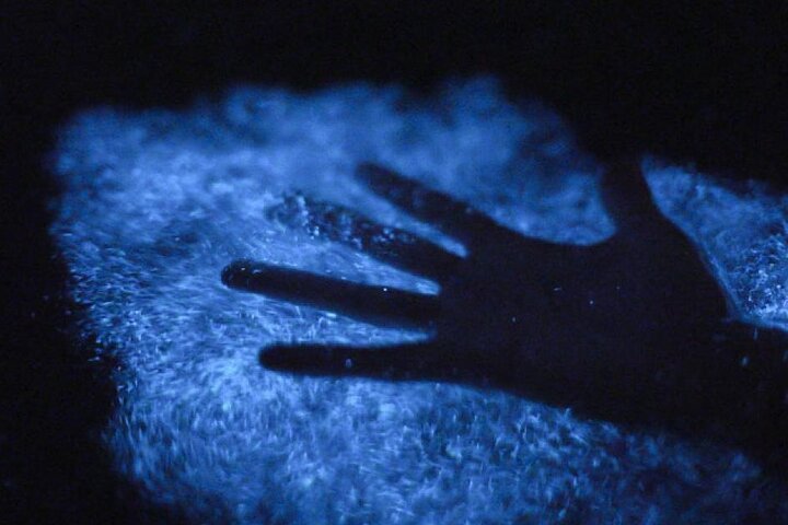 Unforgettable One Day Bioluminescent Kayak Adventure in Vieques
