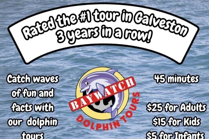 Baywatch Dolphin Tours – Pier 21 Galveston
