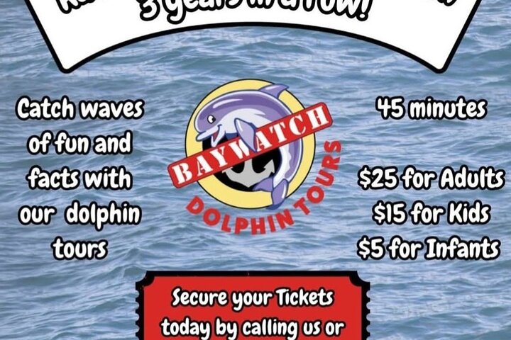 Baywatch Dolphin Tours – Pier 21 Galveston