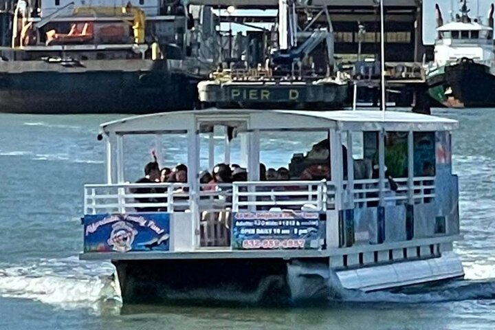Baywatch Dolphin Tours – Pier 21 Galveston