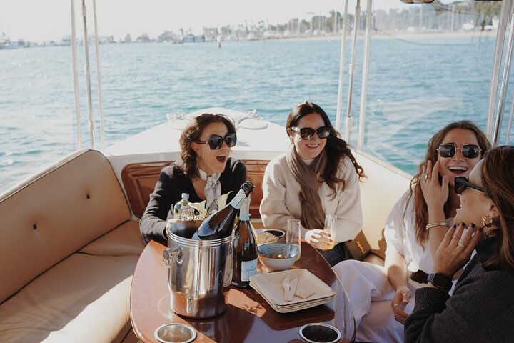 Private Harbor Cruise on Electric Boat in Santa Barbara