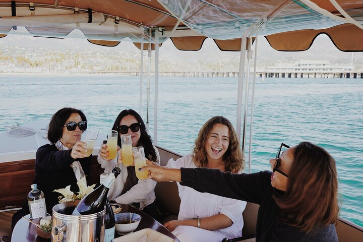Private Harbor Cruise on Electric Boat in Santa Barbara