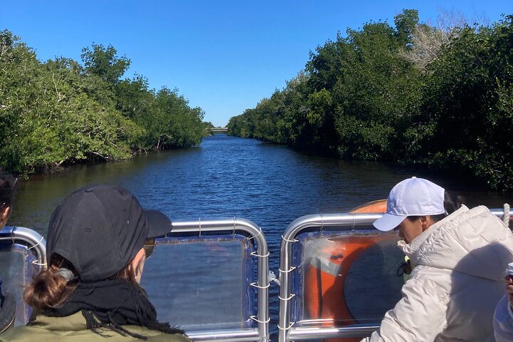 Everglades National Park: 3 Hikes + 90 minute Boat Tour + Lunch
