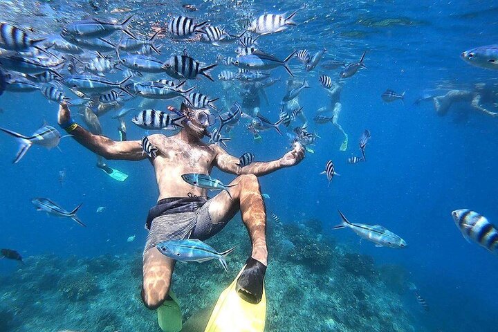 Beachcomber Island Escape - A Perfect Day in Paradise