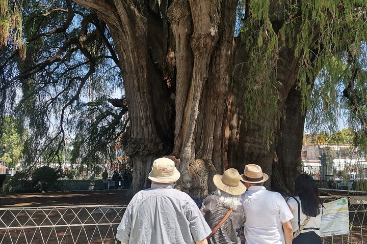 Tour Ruta Hierve el Agua, Tule, Mitla, Teotitlan and Mezcal