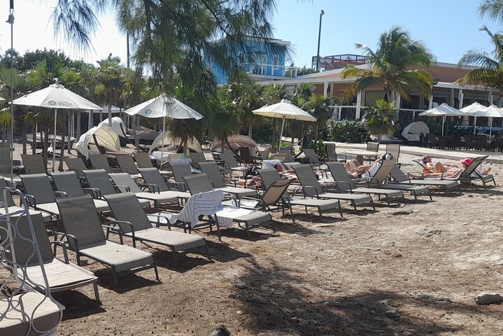 Private Nassau Rose Island Boat Tour Swimming Pigs, Turtles