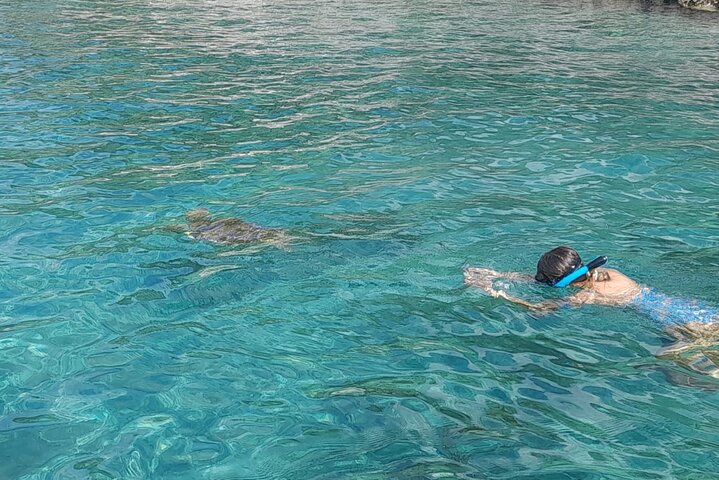 Private Nassau Rose Island Boat Tour Swimming Pigs, Turtles
