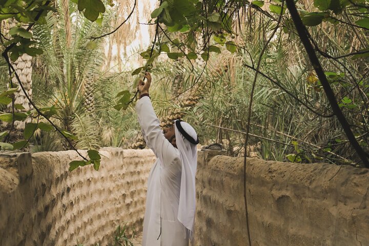 Fortresses and History Tour in Al Ain City