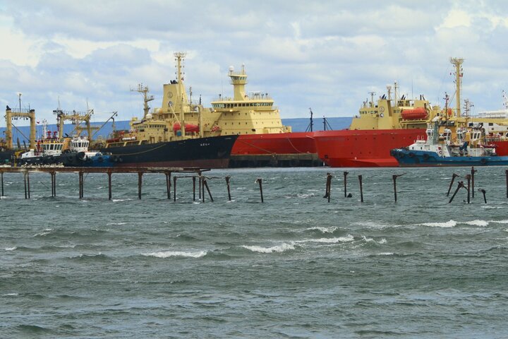 Punta Arenas City Tour Shore Excursion