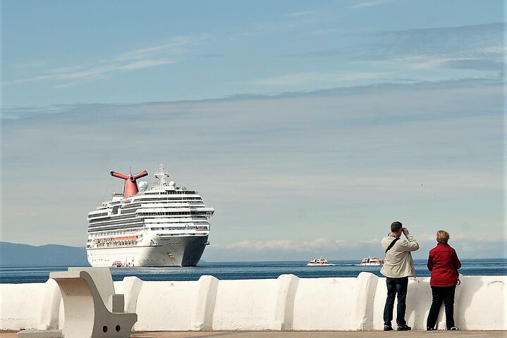 Punta Arenas City Tour Shore Excursion