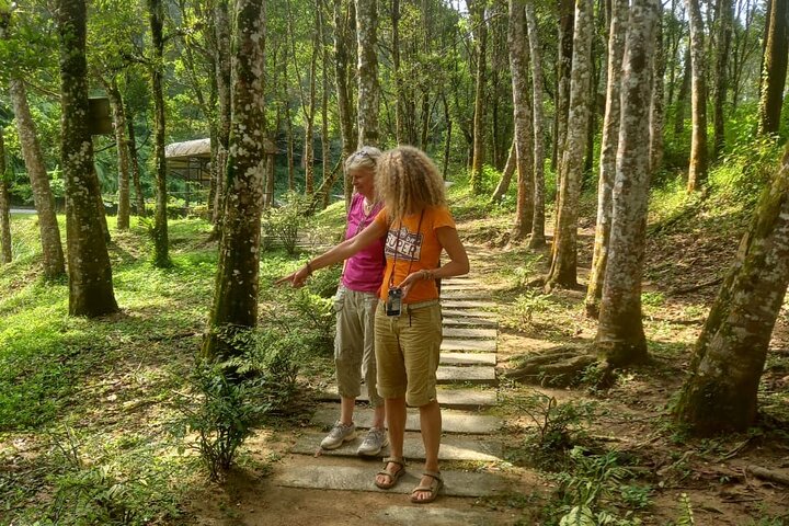 Full Day Private Ipoh Tour