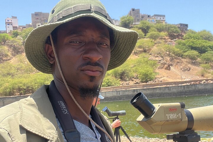 Bird Observation in Cape Verde