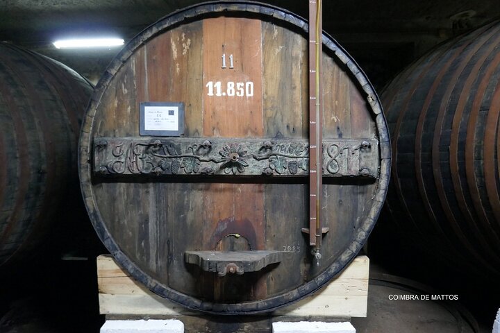 Douro Full Day Tour with Wine Tasting and Lunch